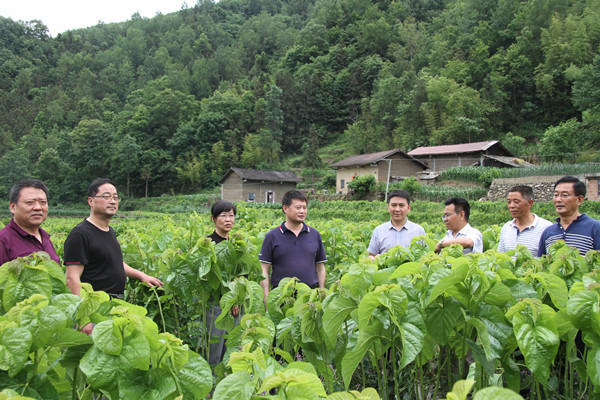 安康市商務(wù)局領(lǐng)導(dǎo)來我公司調(diào)研春蠶收購及扶貧點蠶?；亟ㄔO(shè)情況